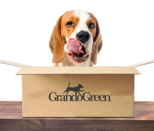 Hundefutter Grandogreen Abo